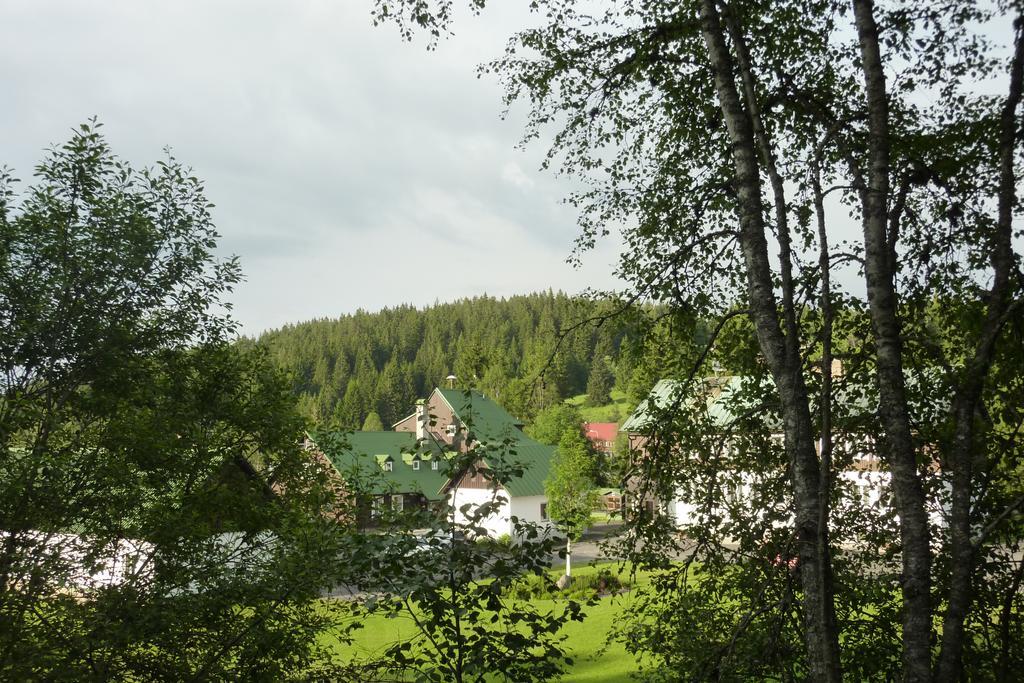 Penzion U Pstruha Модрава Экстерьер фото
